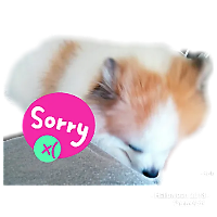 SORRY