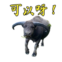 大嶼山水牛hk Lantau Buffalo Whatsticker